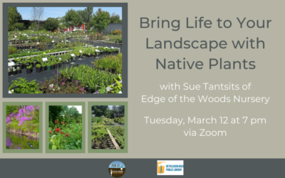 Tuesday, March 12: “Bring Life to Your Landscape with Native Plants” Webinar